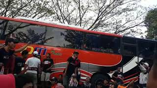 Lagu persija viking anjing di bunuh saja