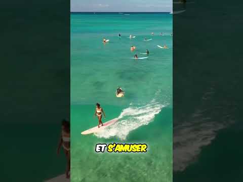 😬Des traditions très