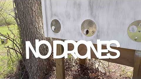 Layens hive spring inspection #beekeeping #layens