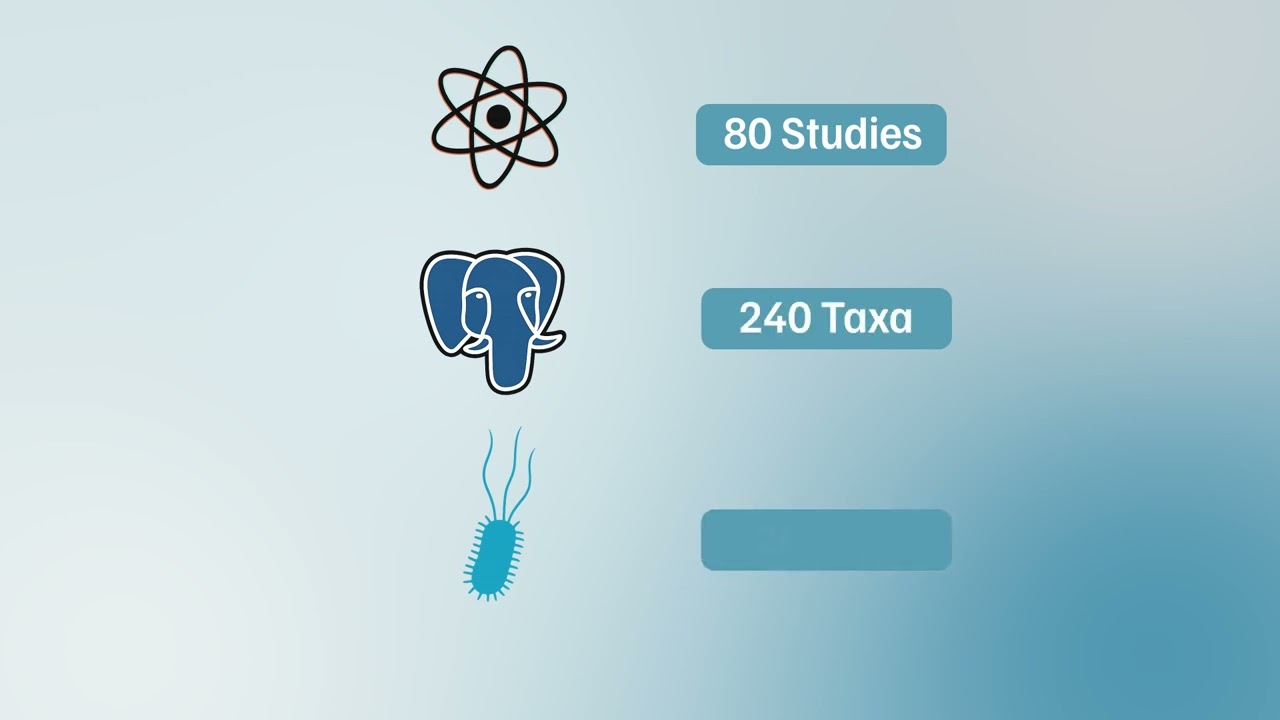 UI animation | #editing #shorts #motiongraphics #aftereffects