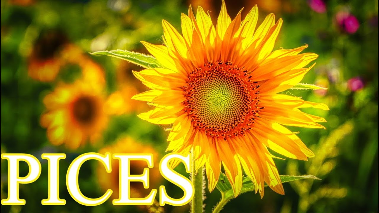 PISCES MARCH 2021 LOVE TAROT READING “SOULMATE MANIFEST AND PROGRESS IN LIFE HAPPY BDAY💜💙💗❤️💜💙💗❤️💜💙💗