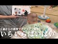 いらいらばいばい/３歳からの感情マネジメント絵本