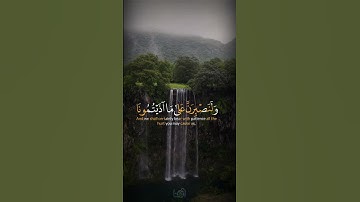 سورة ابرهيم الآية 12
