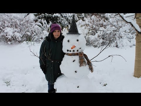 Vidéo: Comment Construire Un Bonhomme De Neige En Hiver