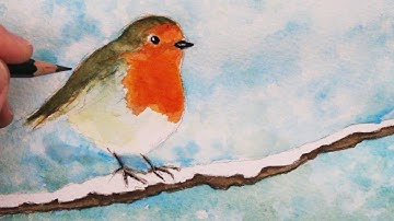How to Draw and paint a Robin: Step by Step