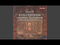 Miniature de la vidéo de la chanson Concerto No. 1 In A Minor "Bona Nova" +: 6. Giga
