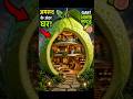 अमरूद के अंदर बना Luxury House 😱🏠Giant Guava House in Real Life 🍈#ytshorts #viralvideo