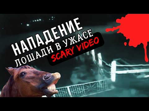 Видео: НОЧЬЮ НА ЛОШАДЕЙ НАПАЛО НЕЧТО НЕПОНЯТНОЕ│5 ЖУТКИХ СУЩЕСТВ СНЯТЫХ НА КАМЕРУ