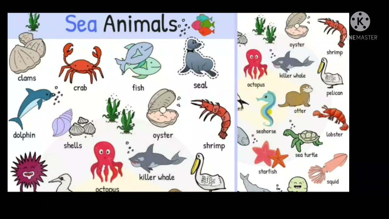 Английские слова рыба. Морские обитатели на английском. Морские обитатели для детей. Морские животные для детей. Животные по английскому языку.