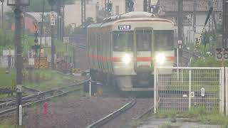 紀勢本線キハ25形 松阪駅到着 JR Central Kisei Main Line KiHa25 series DMU