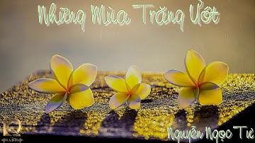 Những Mùa Trăng Ướt | Nguyễn Ngọc Tư | Anh Chi | IQ Radio