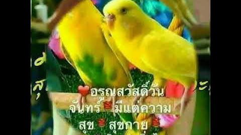 สวัสดีวันจันทร์ " จันทร์ " หญิง ธิติกานต์