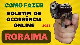 RORAIMA. 2023 - COMO FAZER BOLETIM DE OCORRÊNCIA ONLINE - Delegacia Virtual - GUIA RÁPIDO PCRR