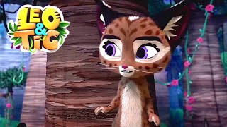 Leo and Tig 🦁 Taonga of the Bush Babies 🐯 Best episodes 🦁 Funny Family Animated Cartoon for Kids