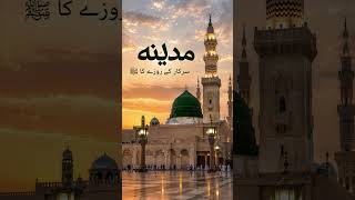 Madina Ka Sarkar Ke Roze Ka Noor 🌹 | Beautiful Naat Status | Islamic Short Video
