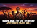 Shaggy Hey Sexy Lady Afro House Remix 2026 Ft Brian Tony Gold