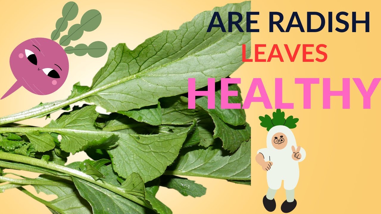 Health benefits of eating radish leaves/ benefits of Radish leaves/ Richa Food & Nutrition