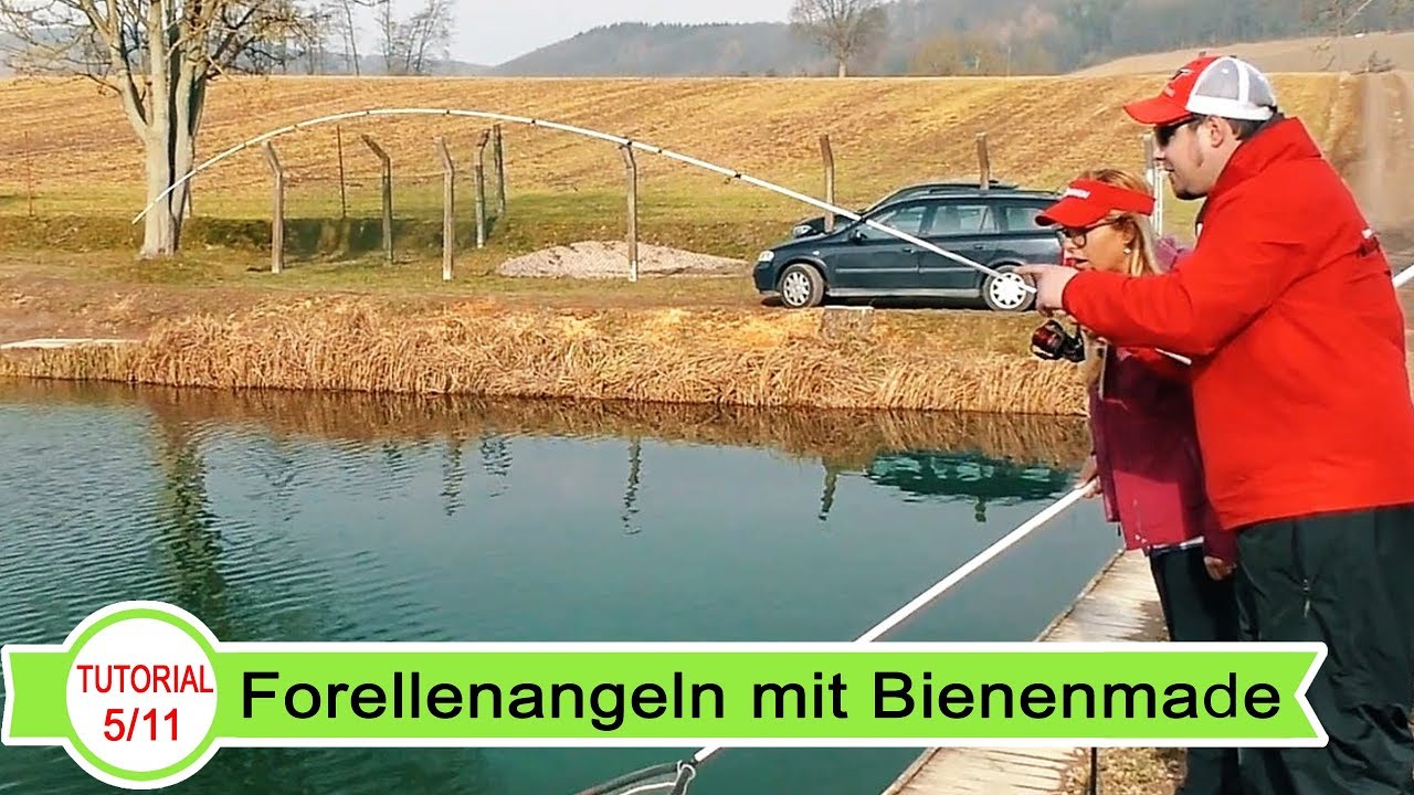 #5 Forellenangeln: Angeln mit Pose & Bienenmade - YouTube