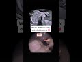 25week baby in womb #pregnancy#scanning #babybump#babydevelopment#babyinthewomb#scan#25weekspregnant