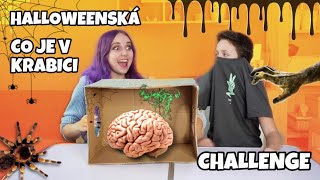 HALLOWEENSKÁ CO JE V KRABICI CHALLENGE /W @FildaGames_ofc