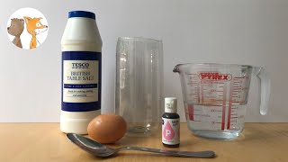 Floating Egg Experiment | #sciencewithkids #scienceathome