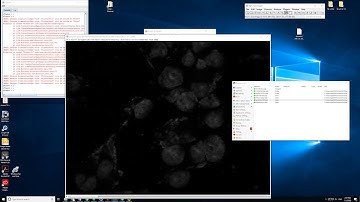 Fiji imageJ 3D viewer and count 3D objects