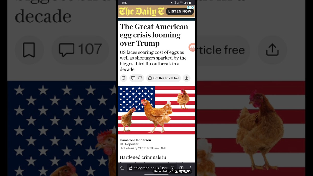 Dreams: Moving Expensive Chickens, No Backyard Flocks