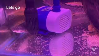 Which submersible pump is best for aquarium?