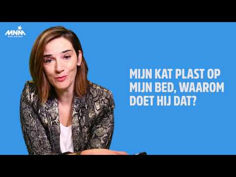 Video: Hoe Voorkom Je Dat Een Kat In Bed Plast?