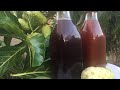 Comment faire du jus de noni ferment