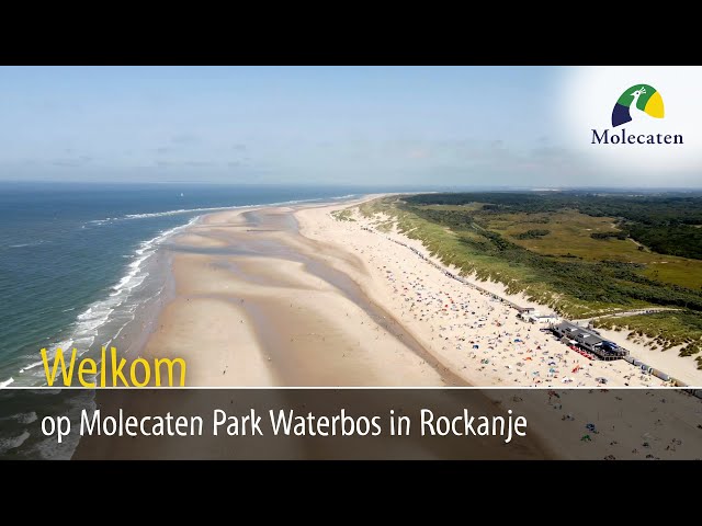 Video Molecaten Park Waterbos