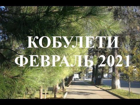 Февраль Кобулети  2021 г. თებერვალი ქობულეთი Аджария Грузия