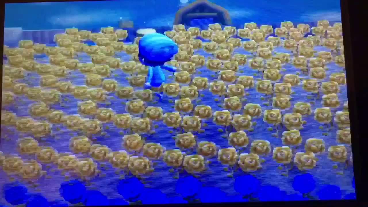 とび森 悪質な改造村について (再うp)