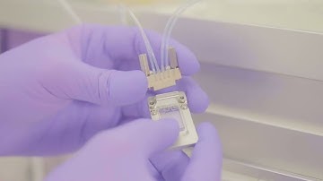 ALiS: Precision for LNP Formulation Screening