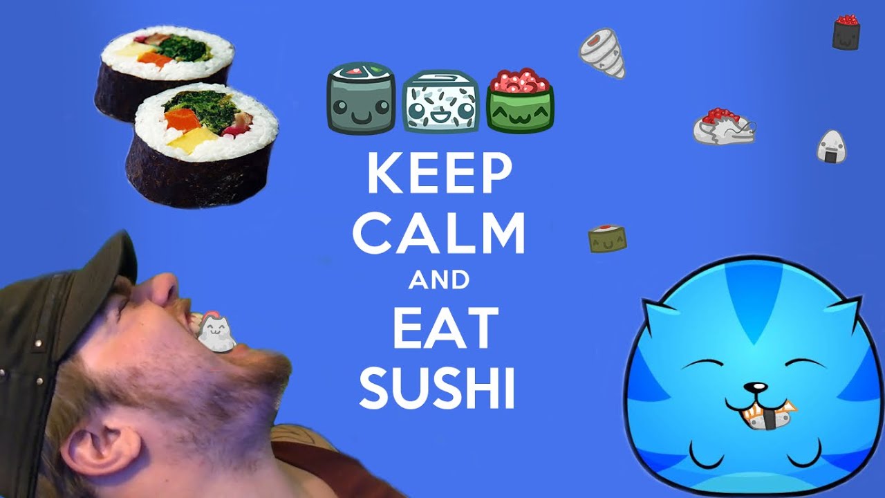 Sushi Cat The Honeymoon Fat Cat, Skinny Plushie, Buff Cat... Sushi