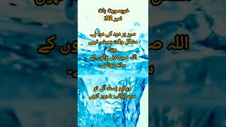 #allah #5minsdeen #islamicvideo #quotes #nature #bestquotes #islam #shorts #islamic #islamiccontent