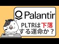 パランティア株は下落する運命か？【2024/12/03】
