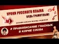 ОРФОГРАФИЯ. Безударные гласные в корне слова