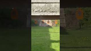 Shooting on Steel Targets Pure Sound / ASMR