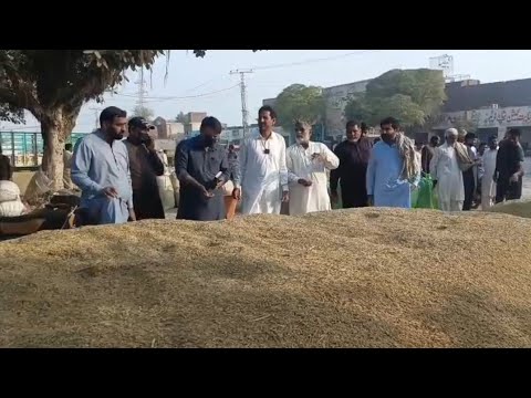 Open Bid For Dewan Ghala Mandi Khanqah Dogran Monji Super 1847 And Super PP07 23 11 2025