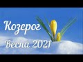 КОЗЕРОГ - ТАРО Прогноз. Март 2021. Работа. Финансы. Личная жизнь. Совет