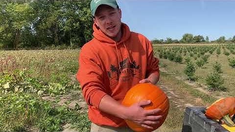 2020 Fall Virtual Field Trip