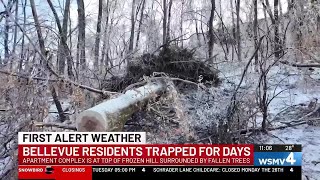 Downed trees and power lines litter the streets in Middle Tennessee