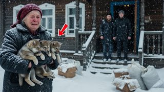 видео: Старушку и трёх волчат выгнали из дома… пока не открылся дар, изменивший всё картинка: Старушку и трёх волчат выгнали из дома… пока не открылся дар, изменивший всё