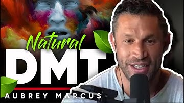 De top: Aubrey Marcus en de Ayahuasca-visie