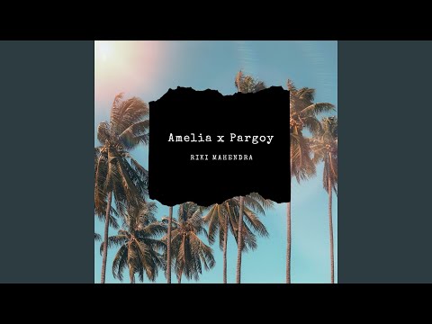 Amelia x Pargoy (feat. Ranin) (Remix)