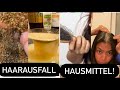 Beste haarmaskel fr haarausfallhaarausfall harrausfall hausmittelayurveda