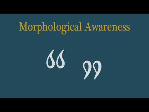 Vídeo: Els morfemes inclouen prefixos?