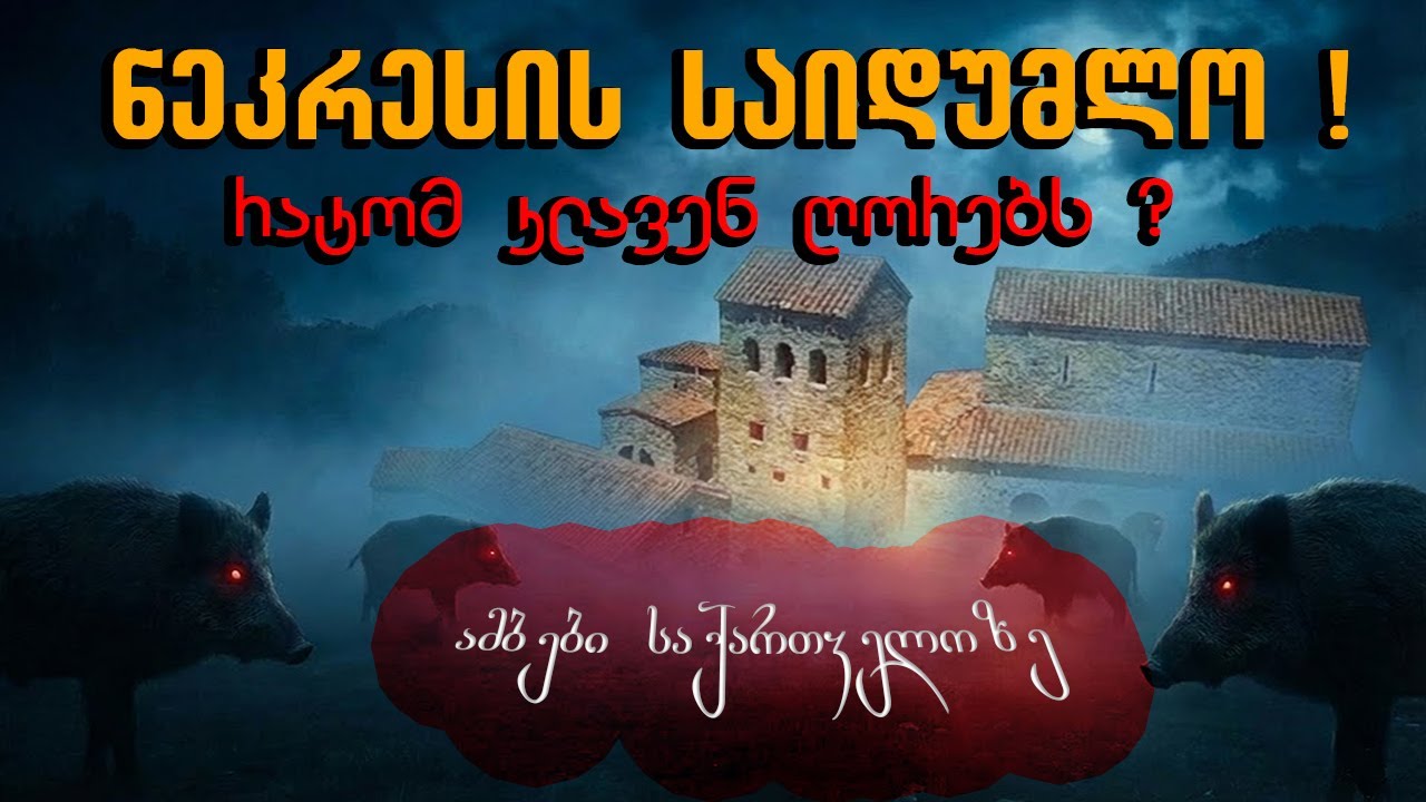 🛑🔥ნეკრესის საიდუმლო❗❗❗ - ამბები საქართველოზე #საქართველო #history #ისტორია