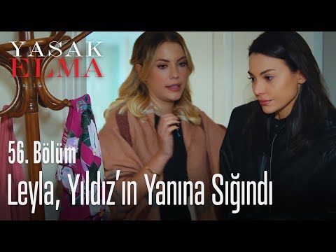 Leyla'yı Yıldız saklıyor - Yasak Elma 56. Bölüm